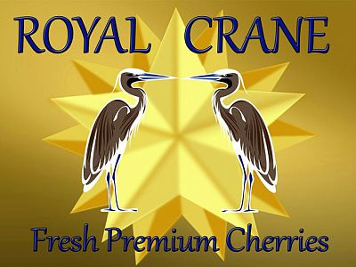Royal Crane